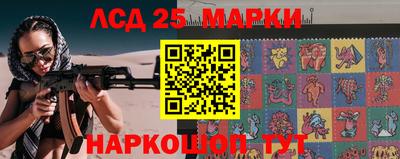 шишки Заволжье