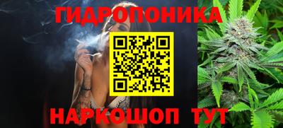 шишки Заволжье