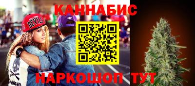 шишки Заволжье