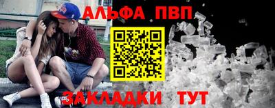 шишки Заволжье
