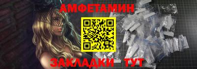 шишки Заволжье