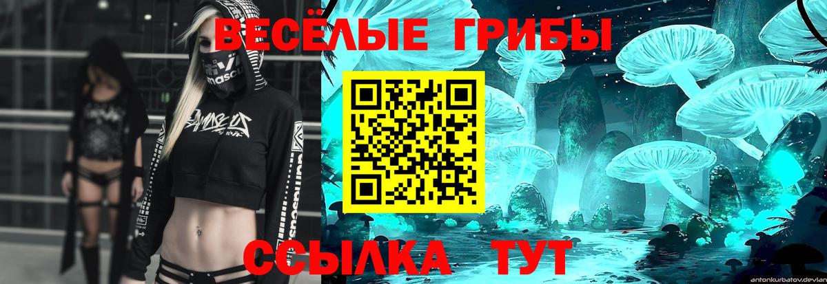 Галлюциногенные грибы мицелий  Вход с VPN  Галлюциногенные грибы прущие грибы  Гатчина 