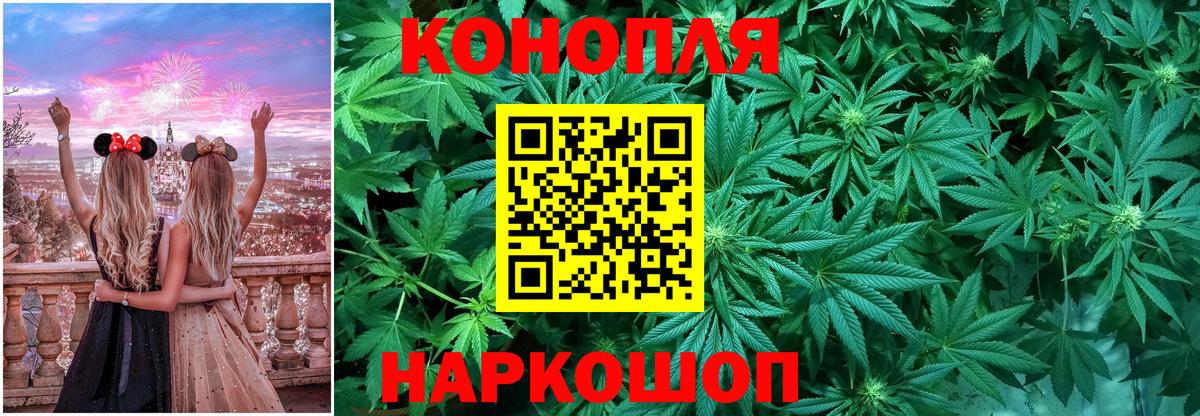 Каннабис ГИДРОПОН Гатчина